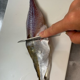 実は簡単 ギマの捌き方 レシピ 作り方 By 魚魚まんま 楽天レシピ 実は簡単 ギマの捌き方 レシピ 作り方 By 魚魚まんま 楽天レシピ